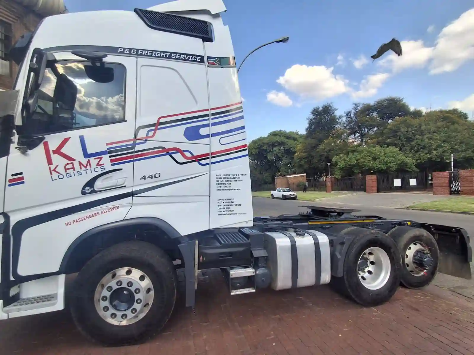 Digital Wraps vehicle branding project 22